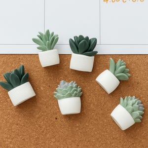 May include: Six small, decorative succulent plant magnets. Each plant has green or gray-green leaves and sits in a white, ribbed pot. The magnets are arranged on a brown corkboard surface.