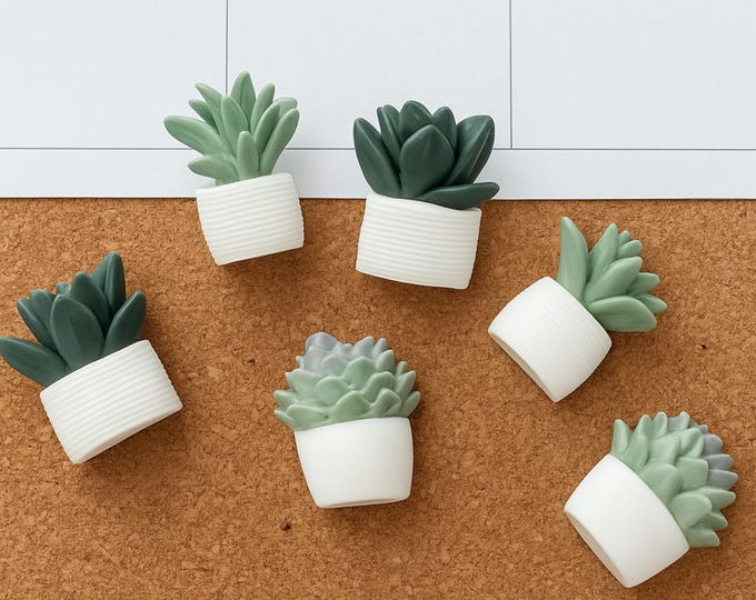Succulent Push Pin office decor gift for coworker succulent lover pins for Office Decor Plant Lover Accessory gift idea for boss gift idea