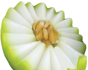 Honeydew Melon Soap / Fruit Soap/Soap Art / Food soap / Fake Food Soap / Dessert Soap / Vegan Soap / Soap Favor / wedding Favor