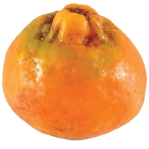 Mandarine Seife / Obst Seife /Seife Kunst / Lebensmittel Seife / gefälschte Lebensmittel Seife / Zitrus seife / Vegan Seife / Seife gefallen / Hochzeit Gunsten