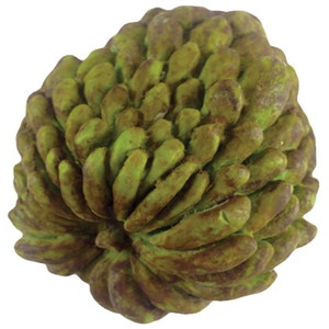 Zucker Apfel Seife / Obst Seife/Seife Kunst / Lebensmittel Seife / gefälschte Lebensmittel Seife / Dessert Seife / Vegan Seife / Seife gefallen / Hochzeit Gunsten