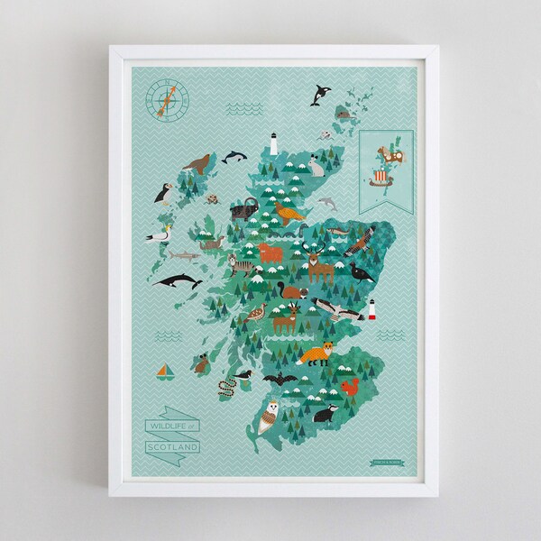 A2 Wildlife Map of Scotland print