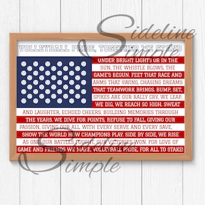 Op de afbeelding: Een ingelijste print met een volleybalthema. Het ontwerp toont een blauw gedeelte met volleybalballen en rood-witte strepen, die lijken op de Amerikaanse vlag. Tekst bevat zinnen als "Volleyball Pride" en spelgerelateerde termen.