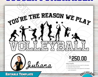 Volleyball Fundraiser Donation Chart: Editable Team Template (Digital Download)