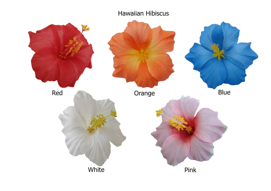 Double Hawaiian Hibiscus Flower Hair Clip Wedding Hair Clip Etsy