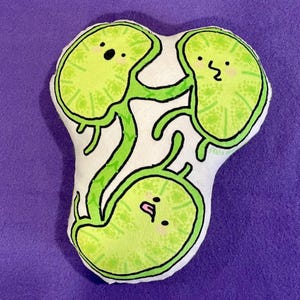 Puede incluir: Un juguete de peluche con forma de dos riñones con detalles verdes y blancos. Los riñones tienen caras sonrientes y están conectados por un tallo verde. El juguete está sobre un fondo morado.