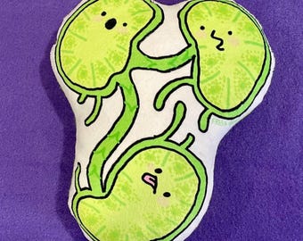 Lymph nodes anatomy plushy pillow science healthcare cancer immunology