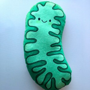 GREEN Mitochondria Pillow: XL science plushie, biology toy gift plush