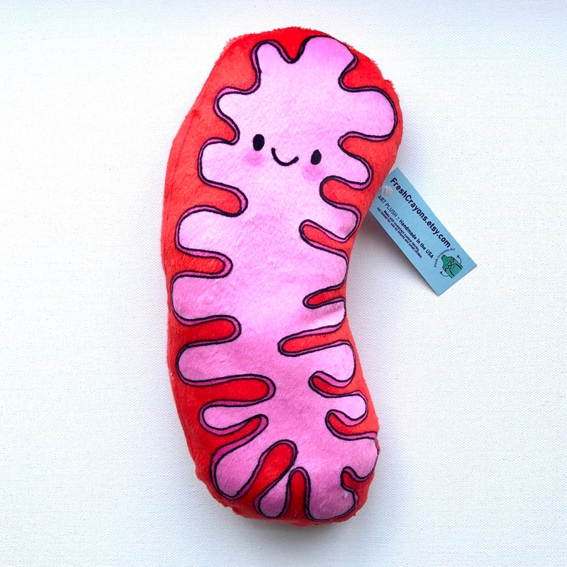 Mitochondria Plush, the powerhouse of the pillow image 2