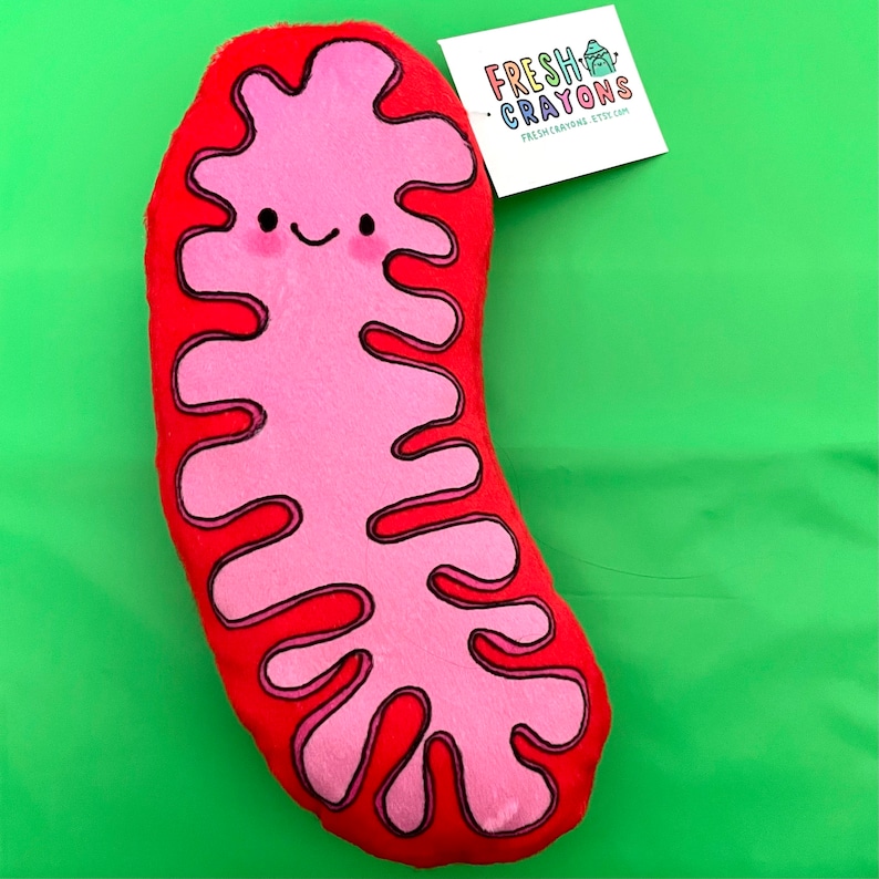 Mitochondria Plush, the powerhouse of the pillow image 4