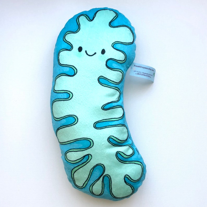 Mitochondria Powerhouse Pillow/ Biology Plush Toy/ Turquiose Etsy