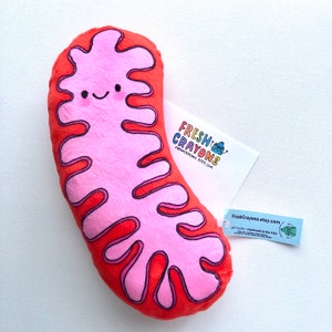 Mitochondria Plush, the powerhouse of the pillow image 1