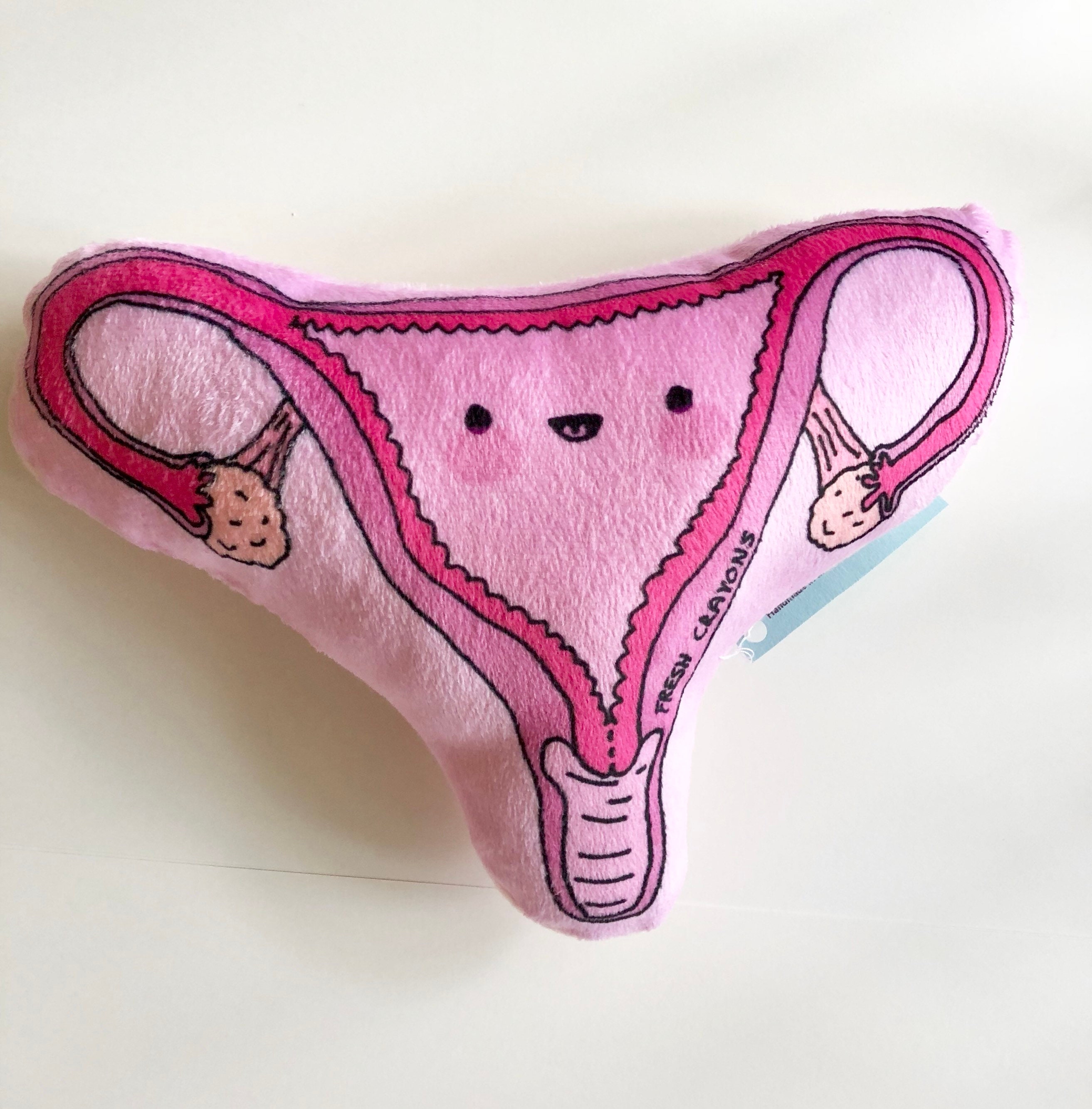 UTERUS Plushy/ Cute Organ Anatomy Toy/ Female Reproductive pic