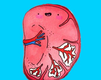 Spleen Plushy/ spleen organ pillow/ anatomy illustration toy, biology science lovers splenectomy