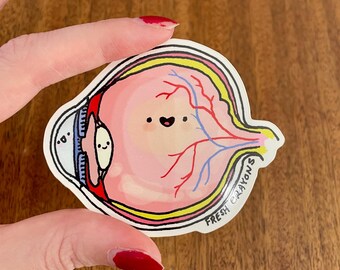 Eye Anatomy vinyl decal sticker 3 inch
