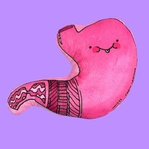 Stomach organ plushy for gastroenterology anatomy