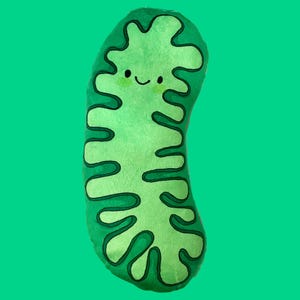 May include: Green plush toy shaped like a cell with a smiling face. The cell has a green and dark green pattern.