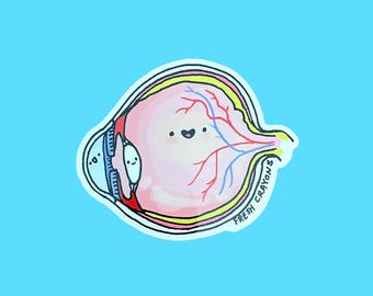 Eye Anatomy vinyl decal sticker 3 inch