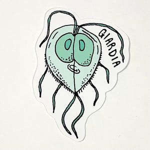 Giardia parasite vinyl sticker