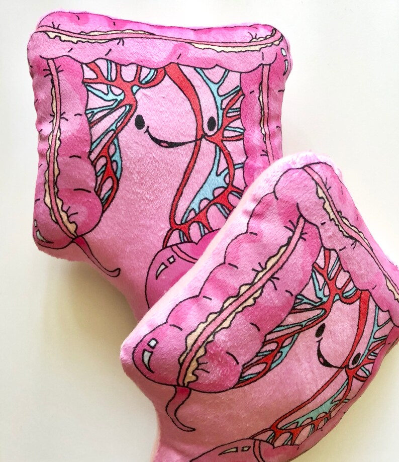 COLON Anatomy Organ Plushy/ Cute Science Toys GUTS Etsy