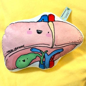 Leber Plüschtier/ Anatomie Organ Plüschtier/ Leber Stofftier