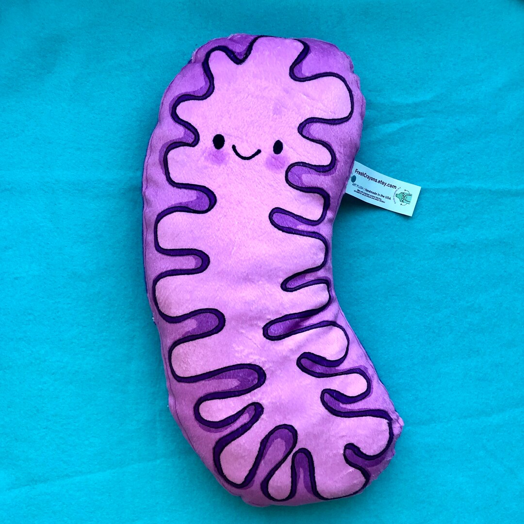 PURPLE Mitochondria Powerhouse Pillow/ Biology Plush Toy/ Etsy