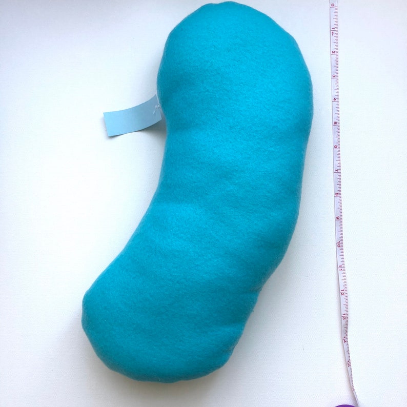 Mitochondria Powerhouse Pillow/ Biology Plush Toy/ Turquiose Etsy