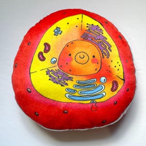May include: A plush, round pillow featuring a colorful illustration of a cell. The design includes a red outer ring, yellow and orange interior, and various cell components in purple, blue, and red. The pillow is designed to resemble a cell diagram.