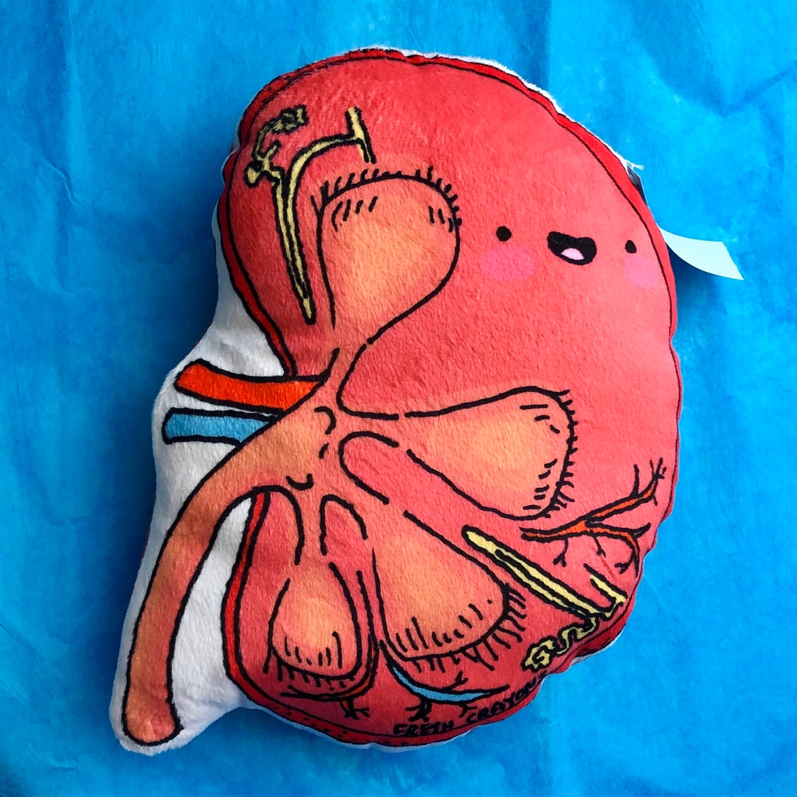 KIDNEY plushy/ nephrology plush toy/ kidney organ stuffed Etsy