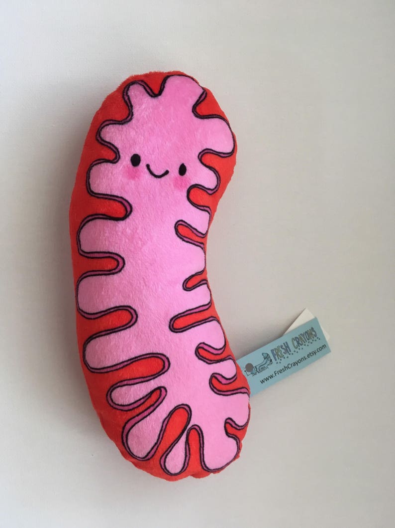 Mitochondria Plush, the powerhouse of the pillow image 6