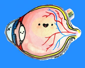 EYE anatomy optometry ophthalmology plushy pillow
