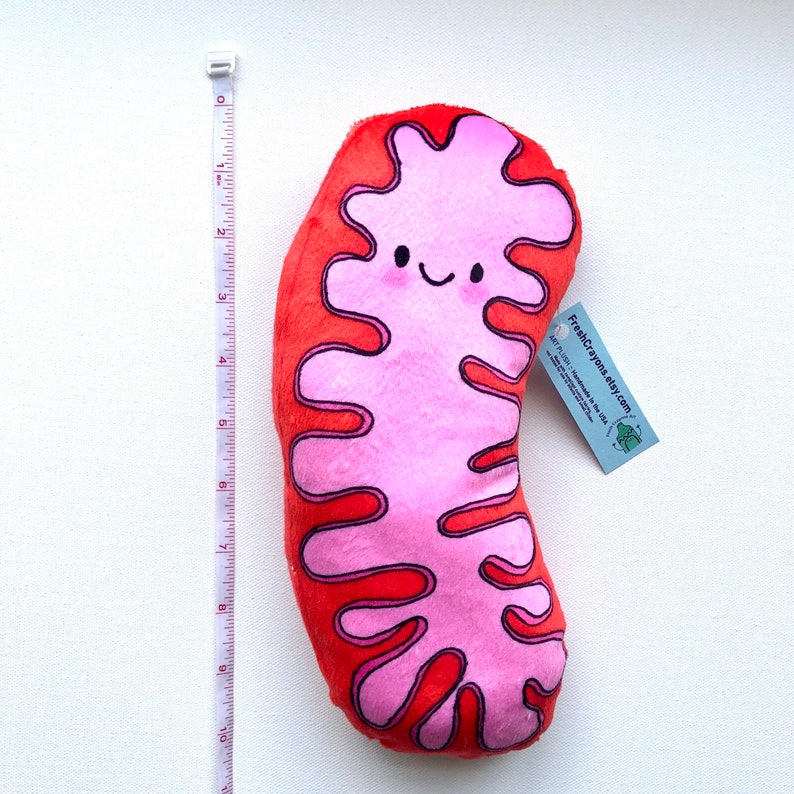 Mitochondria Plush, the powerhouse of the pillow image 3