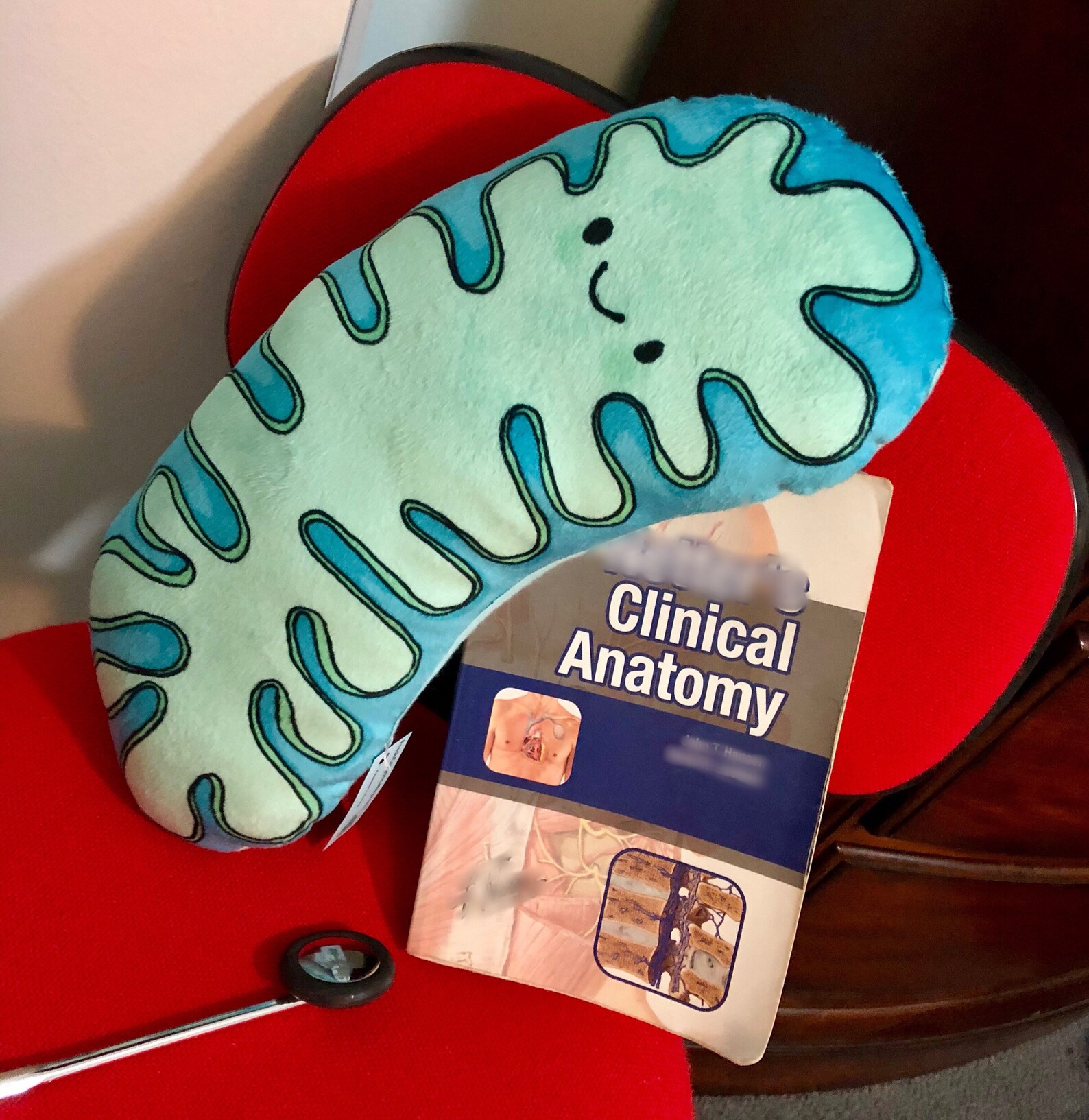 Mitochondria Powerhouse Pillow/ Biology Plush Toy/ Turquiose Etsy