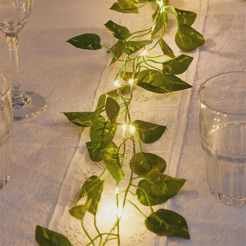 Magical Night Lights and Enchanting Fairy Strings