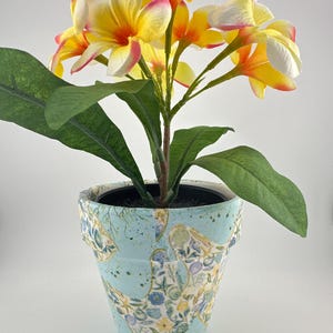 May include: A potted plant with yellow and pink flowers and green leaves. The flowers are in full bloom. The pot is light blue with a floral pattern. The pot is round and has a dark interior.