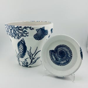 May include: White ceramic flower pot with a matching saucer, both decorated with blue seashell and coral designs. The pot has a wide opening and a slightly tapered shape. The saucer features a large spiral seashell design. The overall theme is coastal.