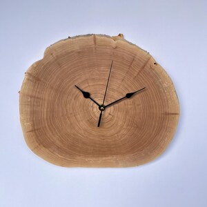 Può includere: Un orologio in legno con lancette nere e un centro dorato. Il quadrante dell'orologio è una fetta di legno naturale con motivi di venatura visibili.
