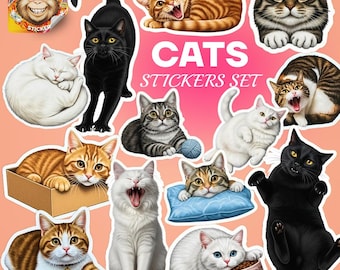 Adesivi divertenti con meme di gatti / Confezione di adesivi in vinile impermeabili
