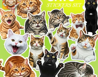 Pacchetto di adesivi divertenti per gatti: adesivi in vinile e olografici impermeabili