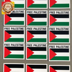 Free Palestine Sticker Set – 50 Square Stickers (10 Holographic + 40 Vinyl) – Pro-Palestine Political Activist Decals for All Surfaces