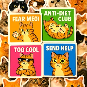 50 Stickers! Funny Tabby Meme Cat Stickers – All Different Designs! Cute Striped Cats for Laptop, Water Bottle, Journal + Custom Cat Sticker