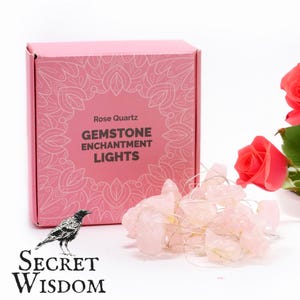 Pode incluir: Uma caixa rosa com as palavras "Rose Quartz Gemstone Enchantment Lights" e uma sequência de luzes de quartzo rosa. As luzes estão em um fio de prata. Um logotipo de corvo está no canto inferior esquerdo. Rosas cor-de-rosa no fundo.