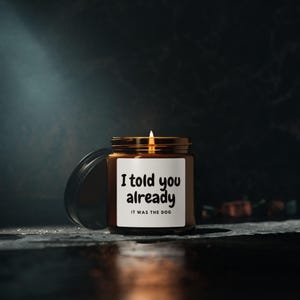 Soy Candle, Funny Dog Candle, Humorous Quote Candle, Home Decor, Gift for Dog Lovers, Scented Candle, Amber Jar Candle