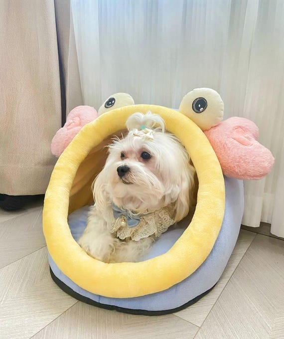 Cesta para gatitos y perros pequeños, casa para gatos, nido para - Main Image