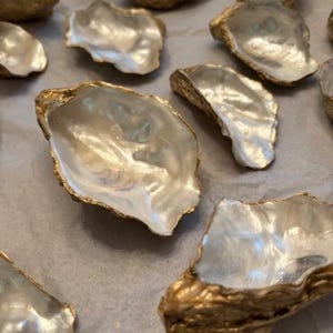 May include: A collection of white oyster shells with gold accents. The shells are arranged on a white surface.