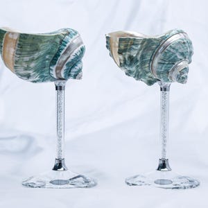Op de afbeelding: Twee decoratieve wijnglazen met schelpen. De schelpen zijn groen, bruin en wit en zijn gemonteerd op heldere, met kristallen bezette stelen met zilveren accenten. De bases zijn van helder, facetgeslepen glas.