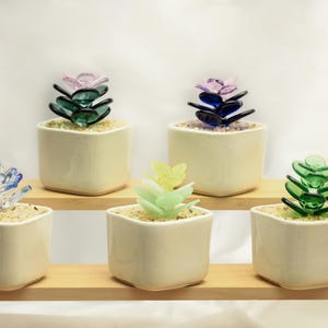 Handmade Glass Succulents | Fused Glass Succulents | Artificial House Plant Glass Cactus | Glass Flower | Car Glass Ornament | Cactus lover