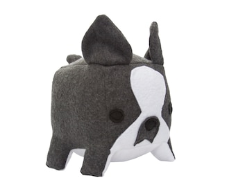 Boston Terrier