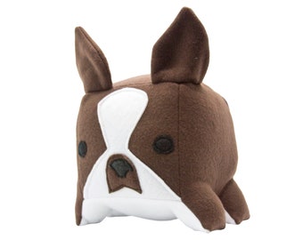 Brown Boston Terrier