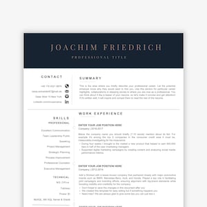 Executive Director Resume Template, Minimalist Resume, Professional Resume, Executive Resume, Creative Resume, Project Manager CV Resume